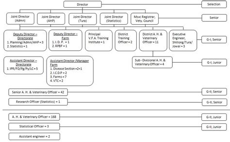 Organisational Framework of the Department: Animal Husbandry and ...