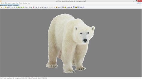Making Border Corel 的图像结果