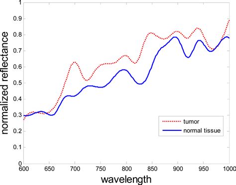 Tongue Tumor Detection in Medical Hyperspectral Images