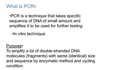 PCR Lecture 的图像结果