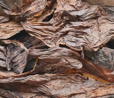 Tobacco Leaf What Does Tobacco Smell Like? LAFCO New York
