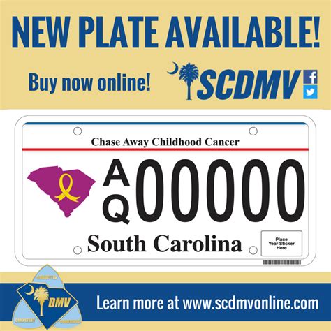 Image result for SCDMV License Plate Frame