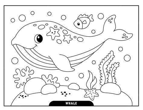 Premium Vector | Whale coloring pages for kids