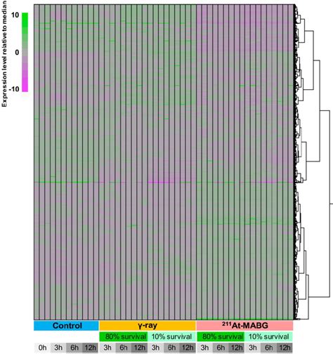 Image result for Python Heatmap RNA-Seq