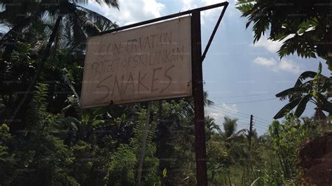 Snake Farm – Lakpura®