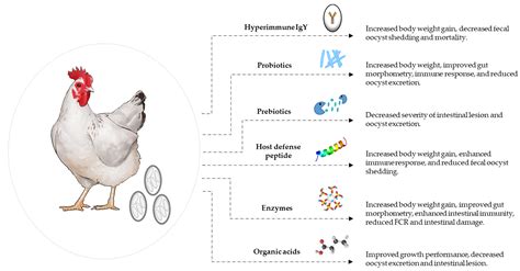 Coccidiosis: Recent Progress in Host Immunity and Alternatives to ...