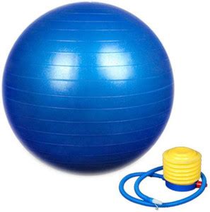 SKYZONE Gym Ball Anti Burst 75 cm with Foot Pump for Yoga and Exercise ...