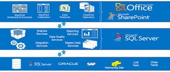 Business Intelligence Microsoft 的图像结果