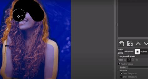 Image result for GIMP Tutorial On Removing Any Background