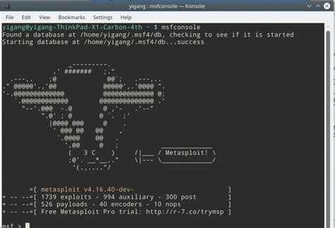 Hack Net Tutorial 的图像结果