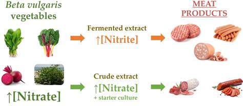 Beta vulgaris as a Natural Nitrate Source for Meat Products: A Review