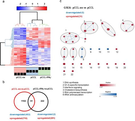 Image result for Cell Type Gene Expression
