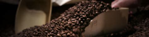PPP Loan Case Study With Gillies Coffee | HSBC USA