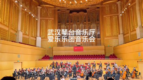 2023年元月6号观看了《武汉爱乐乐团》音乐会。美好时光记录一下-音乐视频-搜狐视频