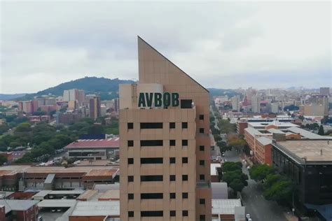 Image result for Avbob Library Project