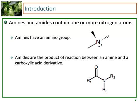 Amines and Amides | PPTX