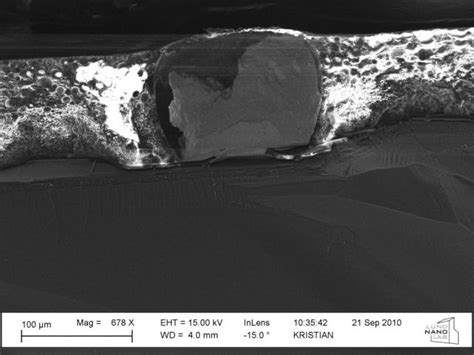 Inside Processor 的图像结果