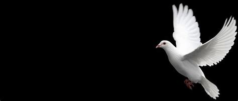 Bangor Daily News | Create story