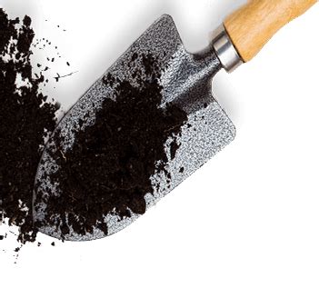 Internship Department of Forest and Wildlife