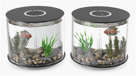 Black Cylinder Fish Tank 3D Model - TurboSquid 2133689