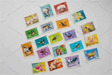 Postage Stamp Collection 的图像结果