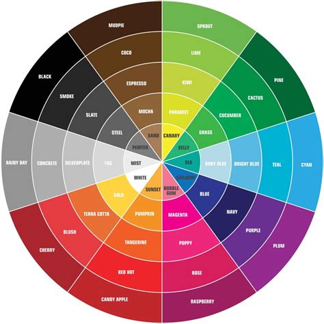 Image result for Color Wheel Design
