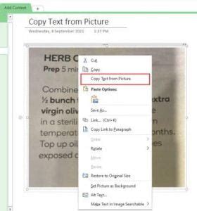Image result for How to Extract Text in OneNote