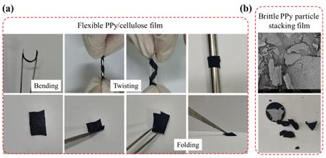 A Free-Standing Polymer Polypyrrole/Cellulose Composite Film via ...