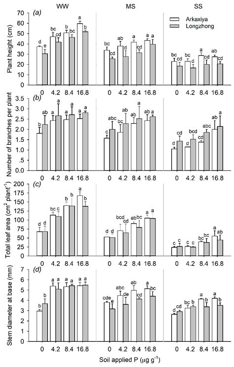 Contrasting Growth, Photosynthesis, Antioxidant Responses and Water Use ...