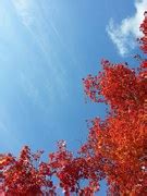免费照片: 秋天的天空, 白云, 学校风光, 太白, 韩国 - Pixabay上的免费图片 - 999713