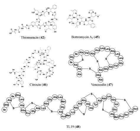 Combating Antimicrobial Resistance in the Post-Genomic Era: Rapid ...