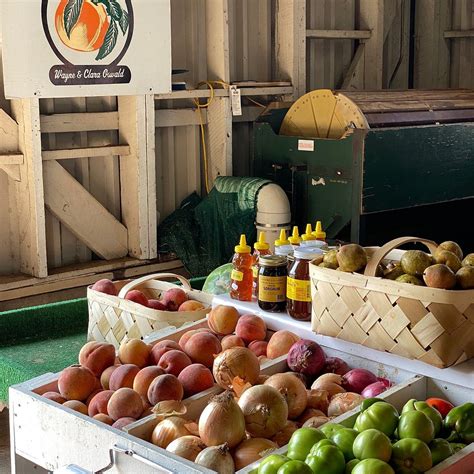 AGRICENTER FARMER'S MARKET (2024) All You Need to Know BEFORE You Go ...