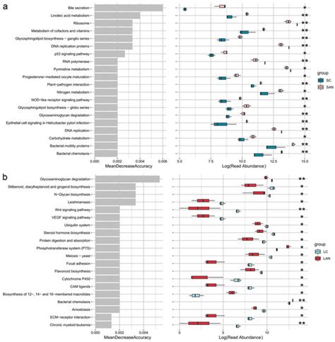 Ammonia Stress Disrupts Intestinal Health in Litopenaeus vannamei Under ...