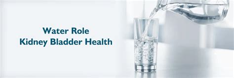 Know The Importance of Water for a Healthy Bladder