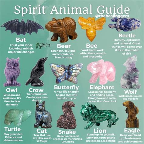 Discover the Meaning of Spirit Animals and Animal Symbolism