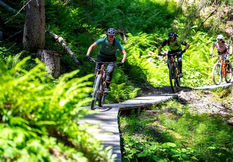 Lines & Trails | Epic Bikepark Leogang