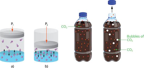 Solubility and factors affecting solubility — lesson. Chemistry CBSE ...