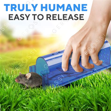 Humane Catch and Release Mouse Traps Pack of 2 - Mice Traps for House ...