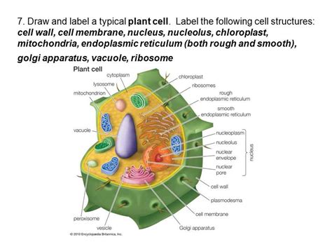 Nature Science Cell 的图像结果