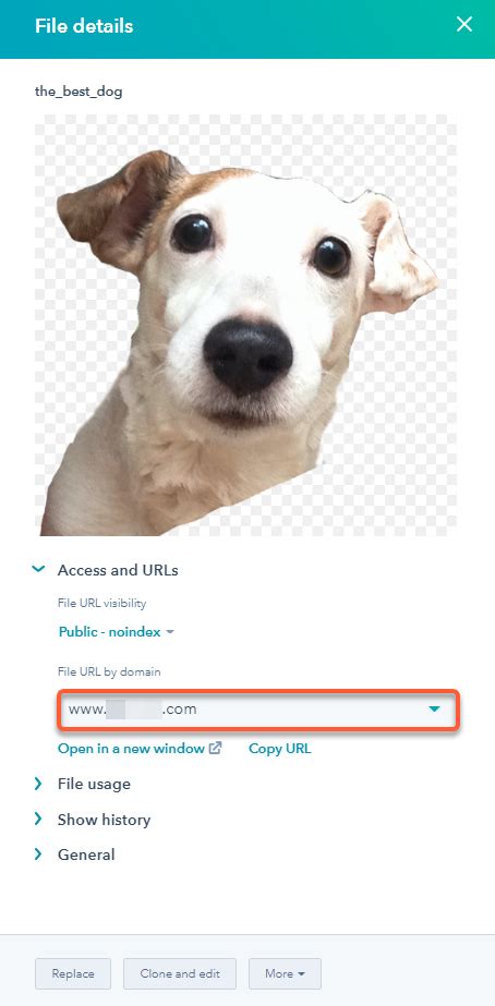 Saved URL Files 的图像结果