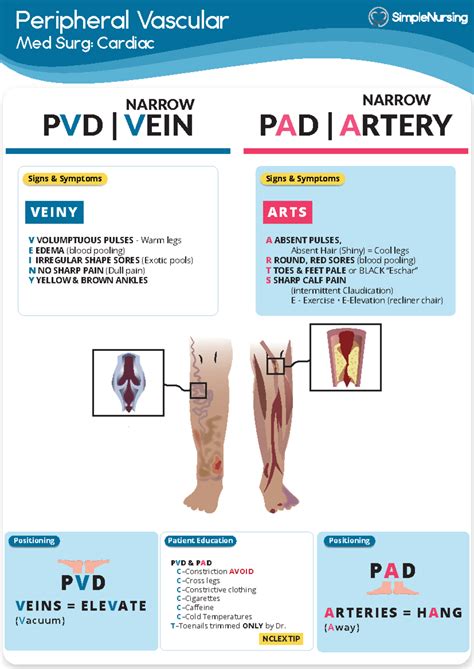 7 Peripheral Vascular - PVD PAD - Peripheral Vascular Med Surg: Cardiac ...