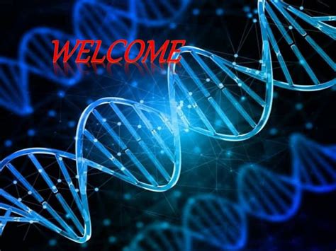 Image result for DNA Function