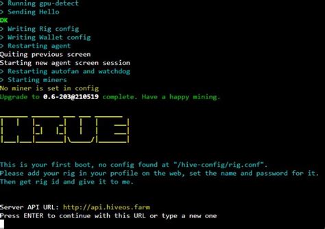Image result for HiveOS Install Guide