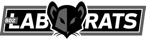 Image result for Lab Baseball