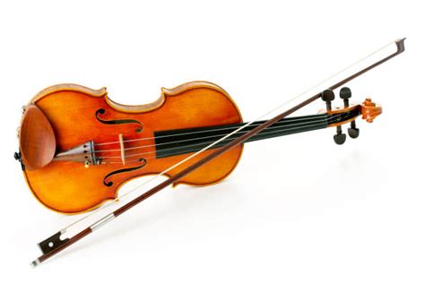 Image result for Violin Note Names