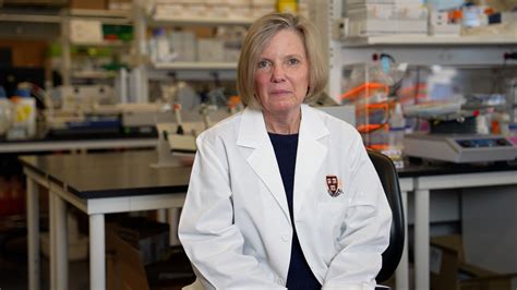 The building blocks of scientific discovery – The Saigon House