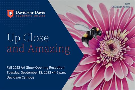 Fall 2022 Art Show Opening Reception - Davidson-Davie Community College