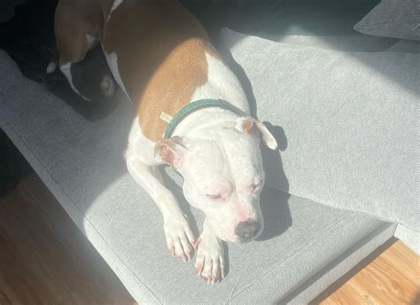 megan bitchell | one month in!!!! I’m so sleepy!!!!!! New York City!!!!!! (swipe to the end to ...