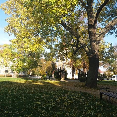 APARTMAN ATELIER (Kadan) - Hotel Reviews, Photos, Rate Comparison ...