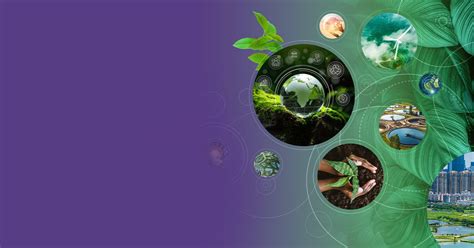 Environmental Science Technology 的图像结果